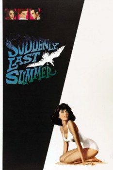 poster Suddenly, Last Summer  (1959)