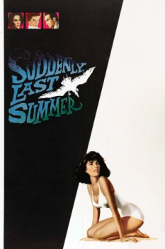 poster Suddenly, Last Summer