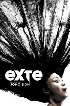 poster Exte: Hair Extensions